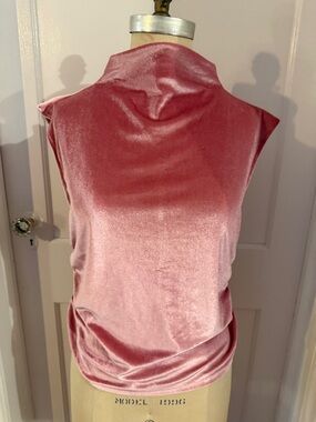 NWOT A New Day Sleeveless Velvet Mock Neck Top in Dusty Rose